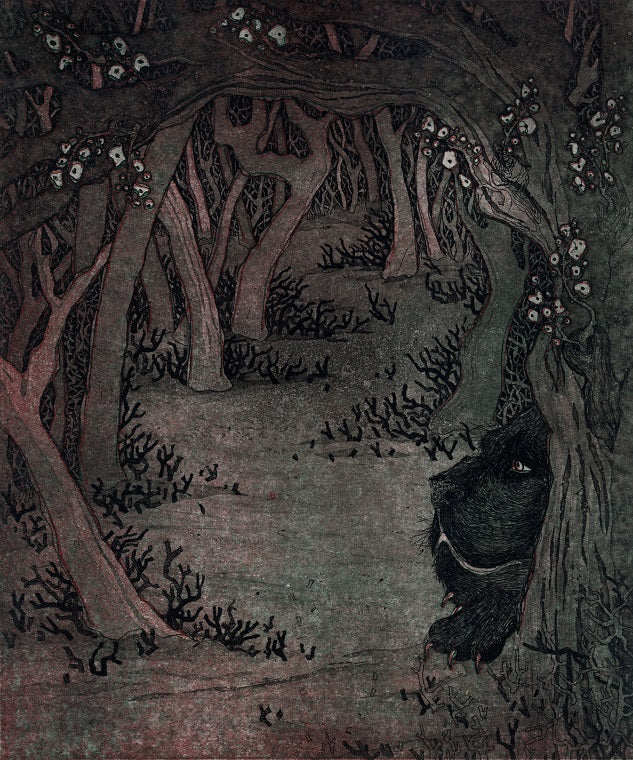Illustrations for "Beauty and The Beast"